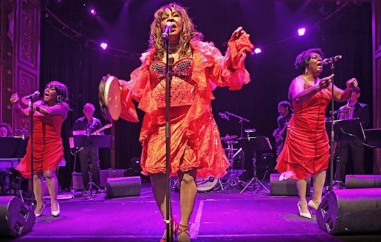 Motown Legend Martha Reeves, 85, Brings New Album to Dearborn Music Saturday