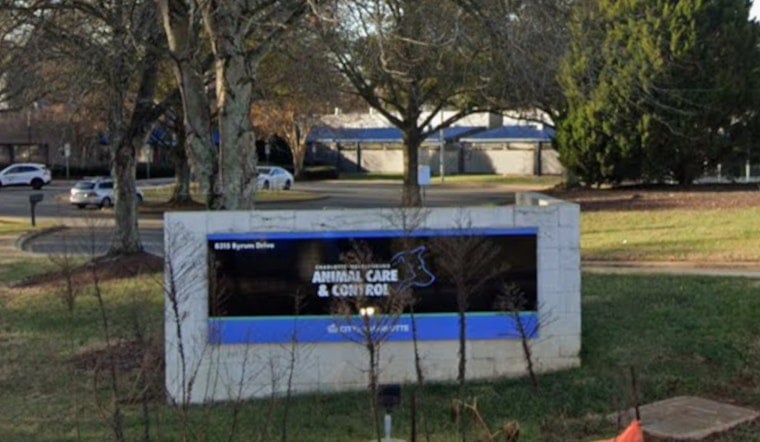 Multiple Agencies Swarm Northwest Charlotte Dog Attack on Claiborne Woods Road