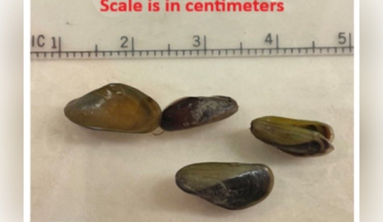 Mussel-Crusted Boat Bound for Oregon Stopped Cold at Folsom Lake