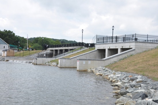Mystic River Herring Run Hits Record 815,000 Fish, Biggest in Massachusetts