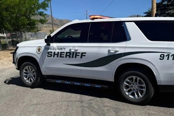 Naked, Wrong-Way I-80 Chase in Tooele Ends in 16 Charges for Woman