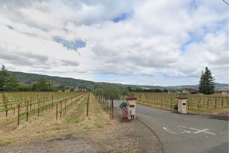 Napa Supervisors Delay Hagafen Winery Appeal Over Olive Trees, Visitor Caps