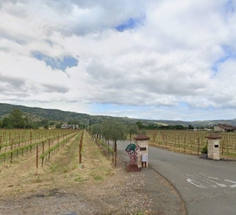 Napa Supervisors Delay Hagafen Winery Appeal Over Olive Trees, Visitor Caps