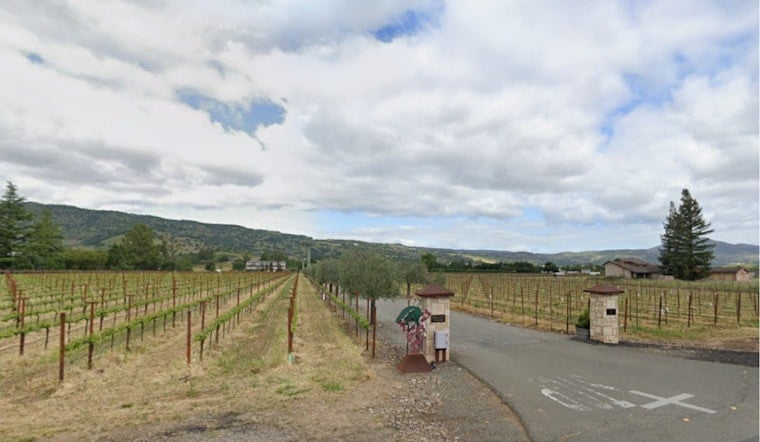 Napa Supervisors Delay Hagafen Winery Appeal Over Olive Trees, Visitor Caps
