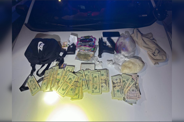 Nashville Man Arrested With 23 Pounds of Drugs and Gun