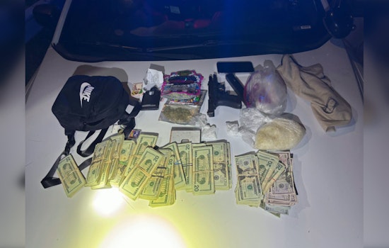 Nashville Man Arrested With 23 Pounds of Drugs and Gun