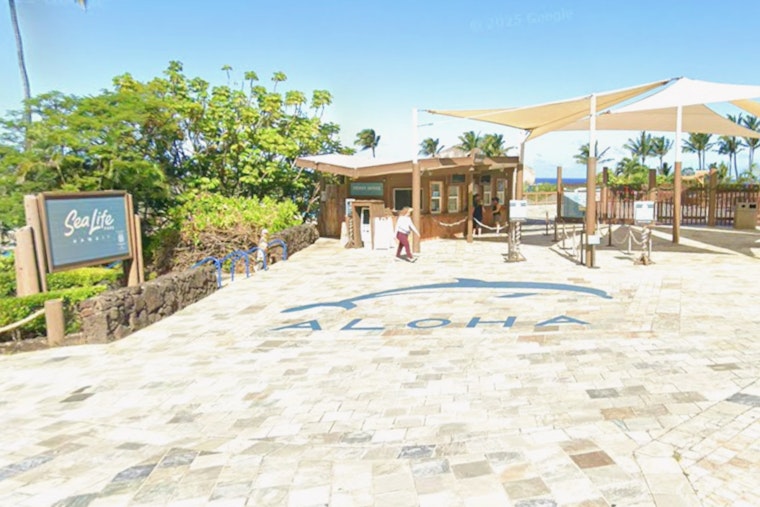 Native Hawaiian Group Buys Sea Life Park, Vows Culture Over Chlorine