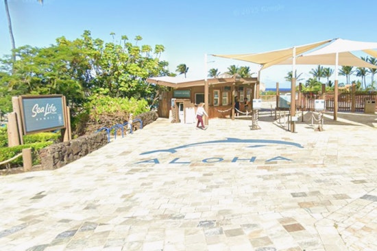 Native Hawaiian Group Buys Sea Life Park, Vows Culture Over Chlorine