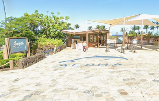 Native Hawaiian Group Buys Sea Life Park, Vows Culture Over Chlorine