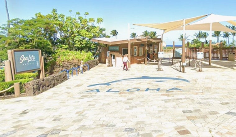 Native Hawaiian Group Buys Sea Life Park, Vows Culture Over Chlorine