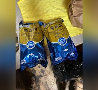 Nevada County Raids Hit 21 Illegal Grows, Uncover Banned Chinese Pesticides