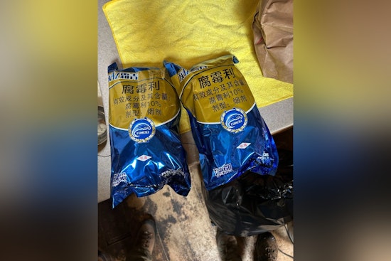 Nevada County Raids Hit 21 Illegal Grows, Uncover Banned Chinese Pesticides