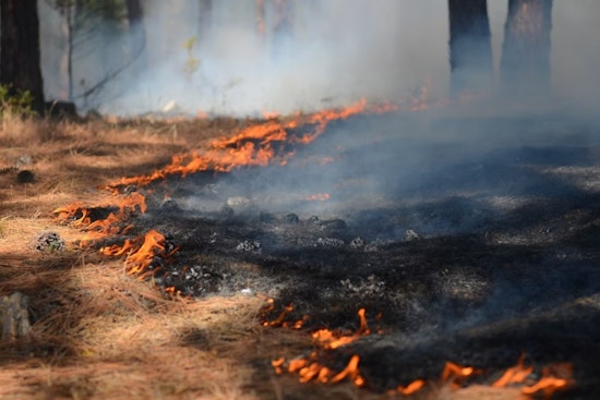 New Haul Fire Ignites on Private Land in Mariposa County, Cause Unknown