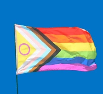New Orleans LGBTQ+ Leaders Fight Back as Louisiana Erases 'Gender' From State Law