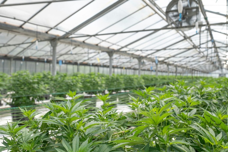 New York Weed Wage Board Bill Sparks Fears Of Price Hikes, Shop Closures