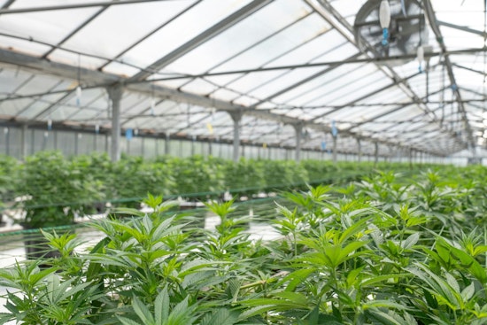 New York Weed Wage Board Bill Sparks Fears Of Price Hikes, Shop Closures