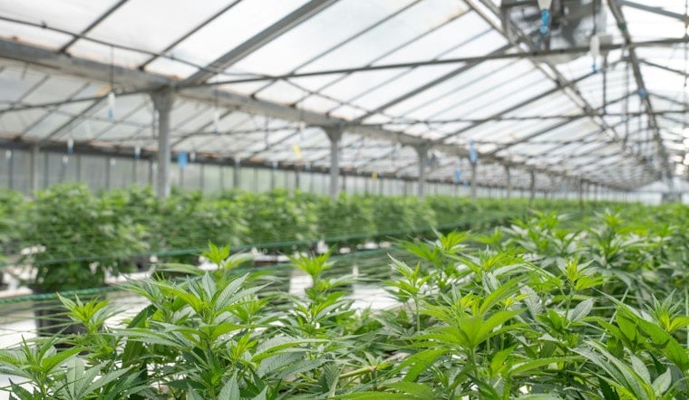 New York Weed Wage Board Bill Sparks Fears Of Price Hikes, Shop Closures
