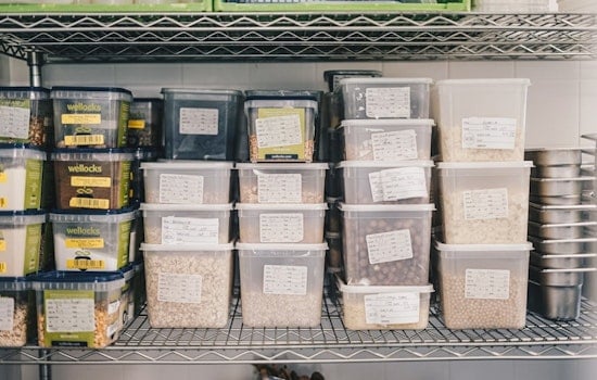 Newark Swaps Food Pantry Lines for Grocery Aisles as Hunger Surges in the West Ward