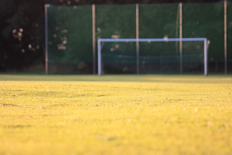 Newport Beach Bans Synthetic Herbicides on 17 Athletic Fields Citywide