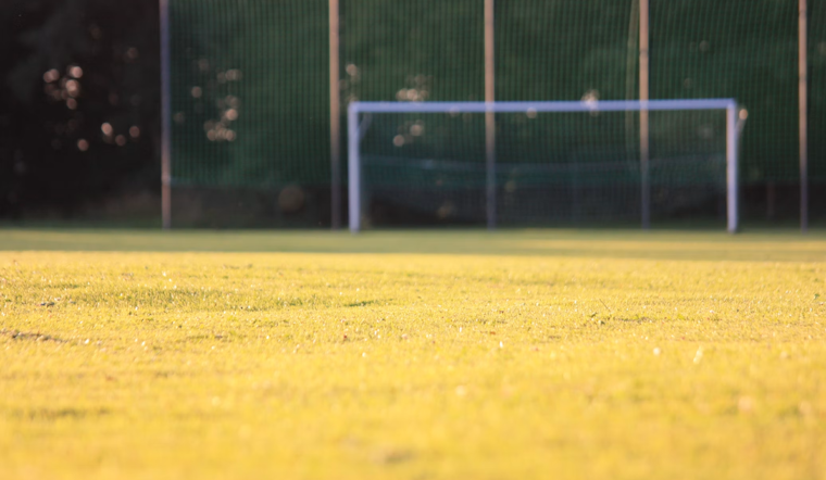 Newport Beach Bans Synthetic Herbicides on 17 Athletic Fields Citywide