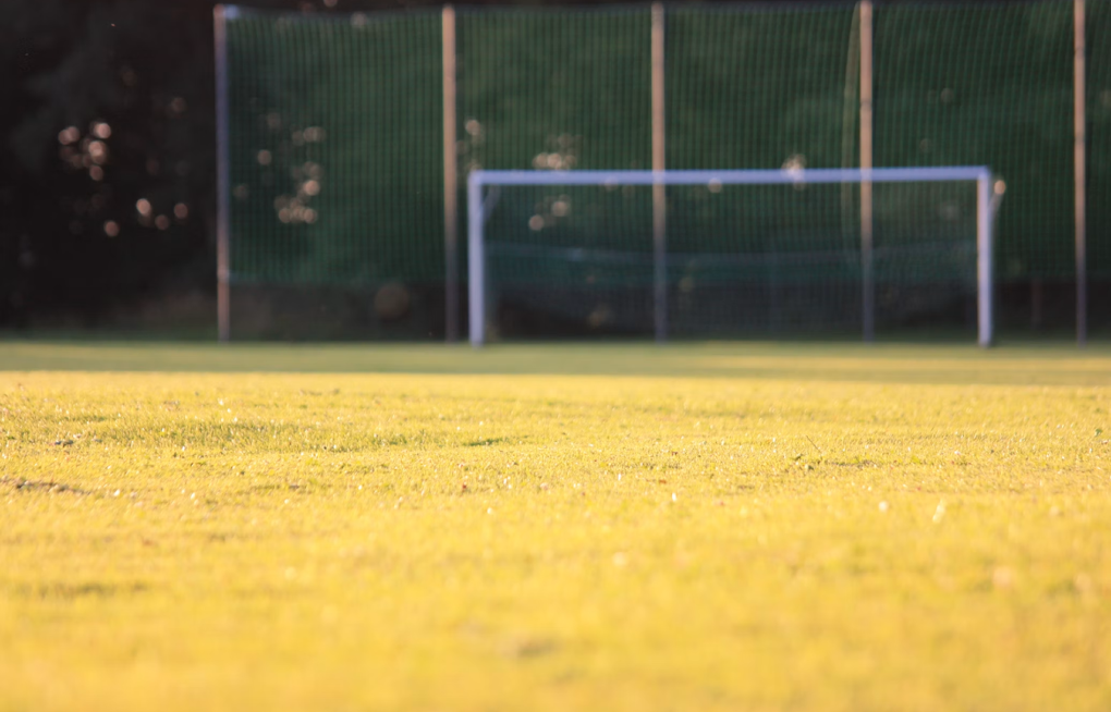 Newport Beach Bans Synthetic Herbicides on 17 Athletic Fields Citywide