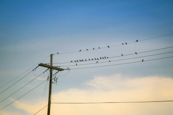 Newport Heights Utility Fight Returns as $50,000-Per-Parcel Petition Sparks Feud