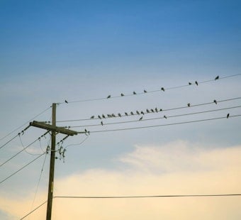 Newport Heights Utility Fight Returns as $50,000-Per-Parcel Petition Sparks Feud