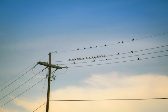 Newport Heights Utility Fight Returns as $50,000-Per-Parcel Petition Sparks Feud