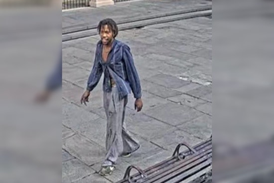 NOPD Hunts Suspect Who Doused Jackson Square Landmark in Paint