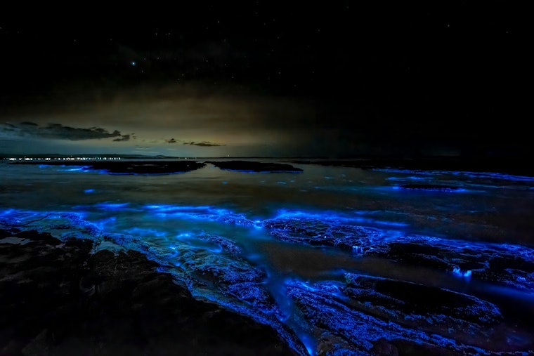 North Carolina's Glowing Waters Draw Night Paddlers Chasing Electric-Blue Waves