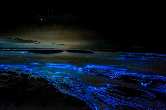 North Carolina's Glowing Waters Draw Night Paddlers Chasing Electric-Blue Waves