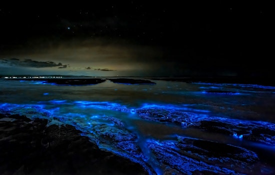 North Carolina's Glowing Waters Draw Night Paddlers Chasing Electric-Blue Waves