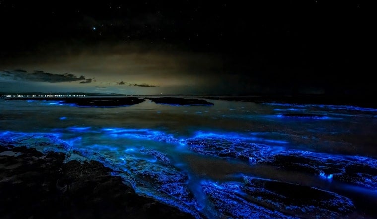 North Carolina's Glowing Waters Draw Night Paddlers Chasing Electric-Blue Waves
