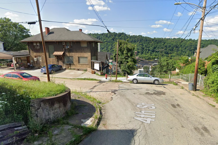 North Charleroi Man Charged After 18 Dead Cats Found in Trash Bags at Home