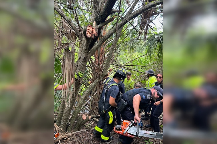 North Port Landscapers Hack Through Brush to Save Two Women From Sinking Car
