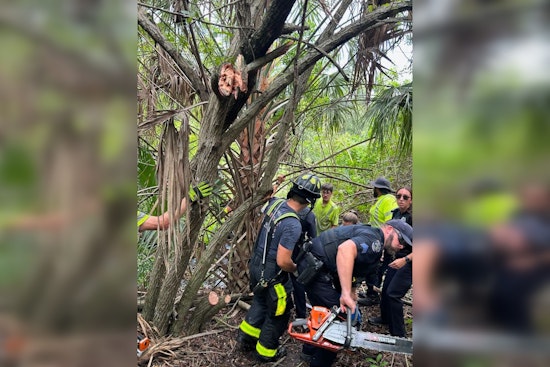 North Port Landscapers Hack Through Brush to Save Two Women From Sinking Car