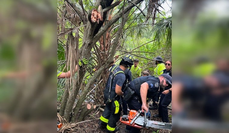 North Port Landscapers Hack Through Brush to Save Two Women From Sinking Car