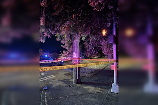 North Seattle E-Scooter Rider, 37, Killed by Minivan, 16-Year-Old Driver Questioned