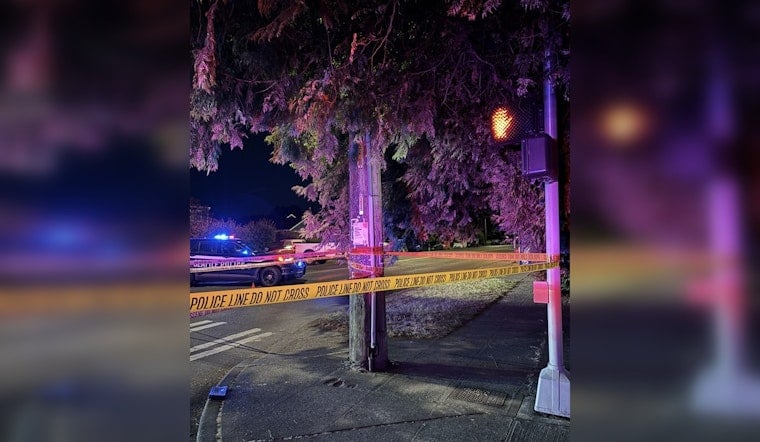 North Seattle E-Scooter Rider, 37, Killed by Minivan, 16-Year-Old Driver Questioned