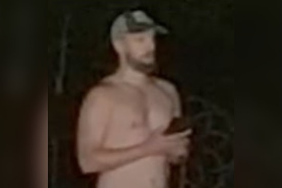 Northville Township Hunts Naked Peeping Tom Suspect Seen Near Wildflower Drive