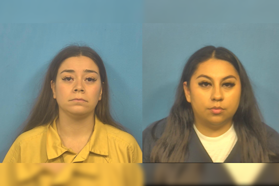 Oak Brook 104-MPH Cop Chase Ends in Squad Car Crash, 2 Women Held Pretrial