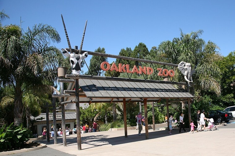 Oakland Zoo Hosts Free Healthy Living Festival for 3,500 Alameda Seniors