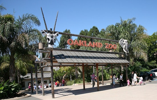 Oakland Zoo Hosts Free Healthy Living Festival for 3,500 Alameda Seniors