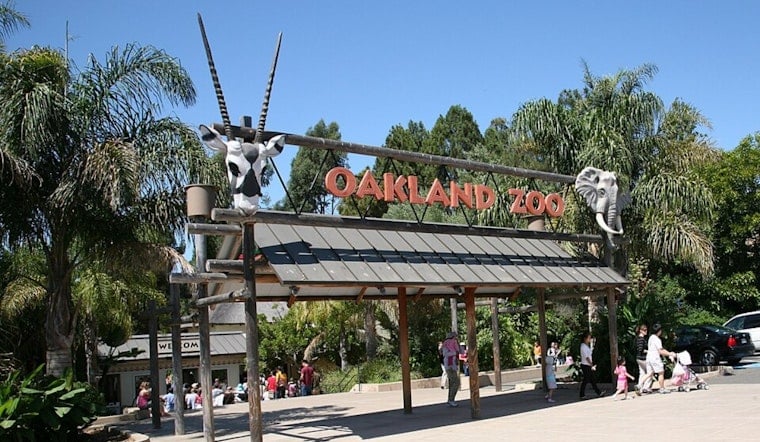 Oakland Zoo Hosts Free Healthy Living Festival for 3,500 Alameda Seniors