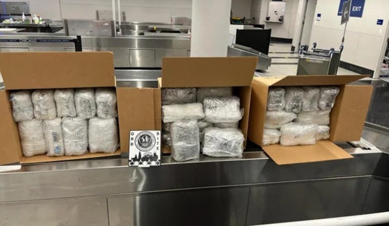 O'Hare Officers Bust Three Travelers, Seize 1,172 Pounds of Khat Bound for NYC