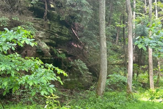Ohio Adds 357 Acres in Jackson County, Creates New White's Gulch Preserve