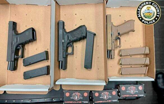Ohio Felon Sentenced for Guns Found at Pittsburgh Airport