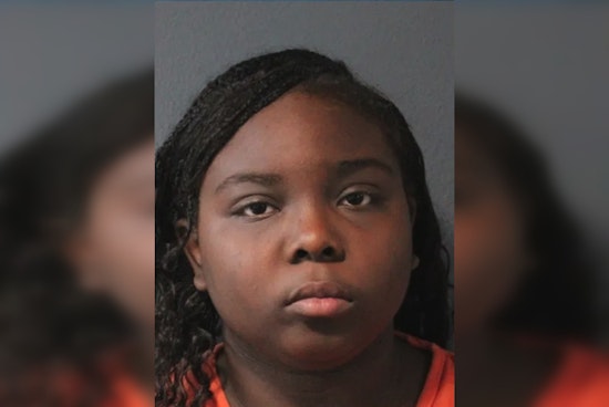 Oklahoma City Dog Left in 160-Degree Car Outside Ulta, Owner Charged