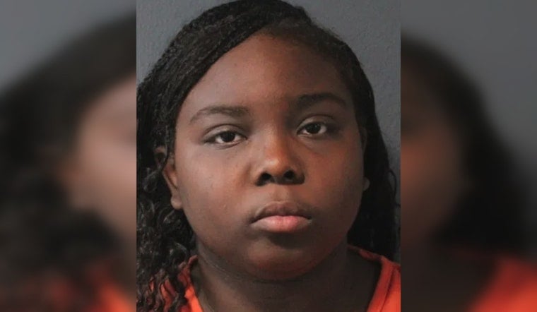 Oklahoma City Dog Left in 160-Degree Car Outside Ulta, Owner Charged