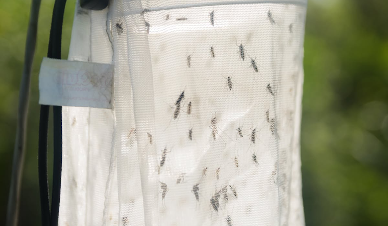 Orange County Under West Nile Advisory After Sentinel Chickens Test Positive